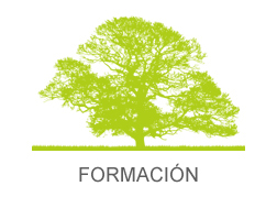 Formaci�n UrbiCAD