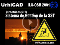 Ver video SGSST