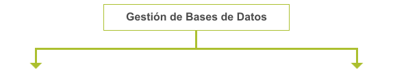 Gestión de Bases de Datos