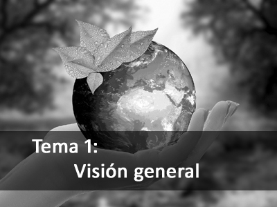 Visión General