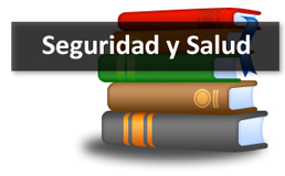 Ver video del tutorial Seguridad y Salud