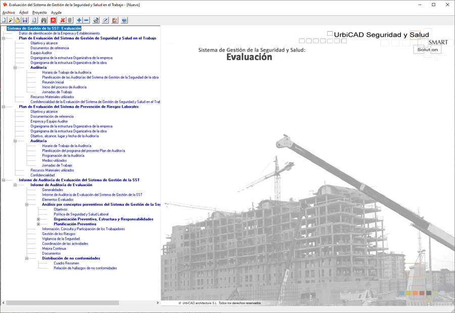 Programa para la Evaluación del Sistema de Gestión de la Seguridad y Salud en el Trabajo conforme normativa de México